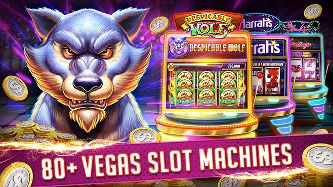 betkubi online casino